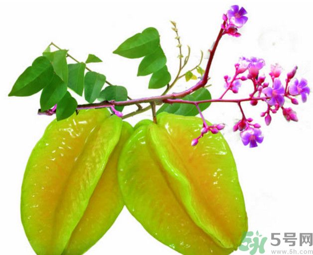 慢性腎炎可以吃楊桃嗎？慢性腎炎吃楊桃好嗎？