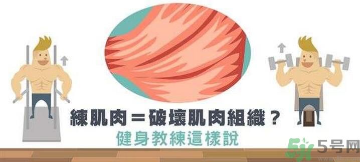 練肌肉會(huì)破壞肌肉組織嗎？練肌肉要注意什么呢？