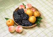 桃子和梨子能一起吃嗎？桃子和梨子一起吃好嗎？