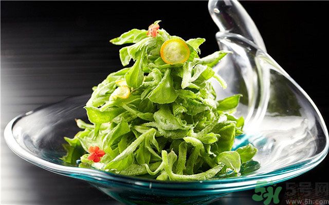 什么是冰草？冰草有什么作用？