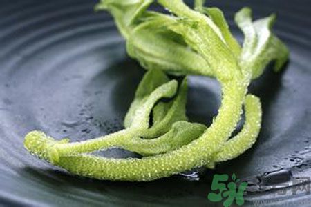 冰草好吃嗎？冰草怎么做好吃？