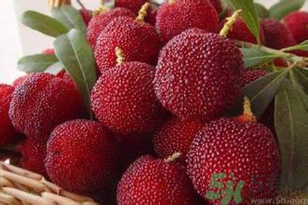 胃潰瘍可以吃楊梅嗎？胃潰瘍吃楊梅好嗎？