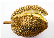 吃榴蓮會上火嗎？榴蓮是發(fā)物嗎？