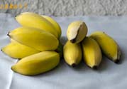 牛奶蕉可以減肥嗎？牛奶蕉怎么吃減肥？
