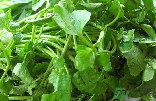 水腫能吃茄子嗎？茄子能消水腫嗎？