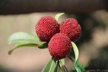 吃楊梅會(huì)上火嗎？吃楊梅上火怎么辦？