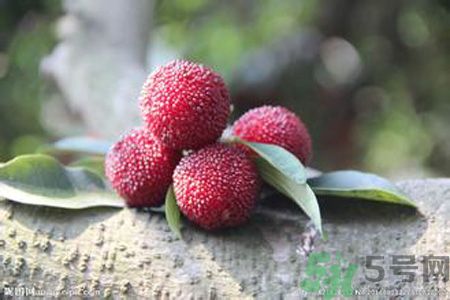 吃楊梅會(huì)上火嗎？吃楊梅上火怎么辦？