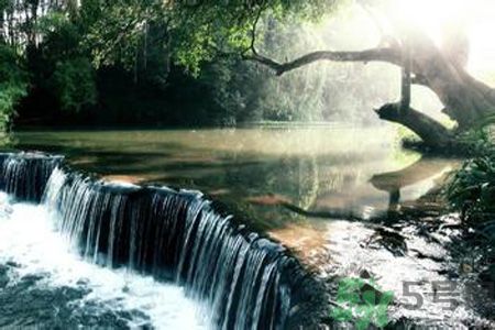 為什么夏至有雨三伏熱？夏至有雨三伏熱是什么意思？
