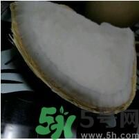 椰子可以放冰箱嗎？椰子放冰箱容易壞嗎？
