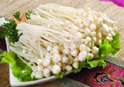 吃金針菇有什么好處？吃金針菇對身體好嗎？