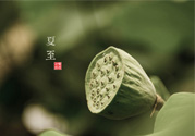 夏至有什么習(xí)俗？夏至吃什么傳統(tǒng)食物？