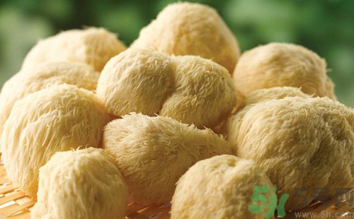 吃猴頭菇有什么好處？猴頭菇有什么營養(yǎng)價值？