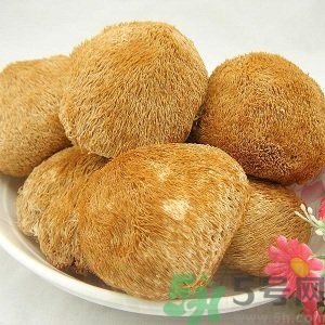 吃猴頭菇有什么好處？猴頭菇有什么營養(yǎng)價值？