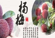 喉嚨痛可以吃楊梅嗎？喉嚨痛吃楊梅好嗎？