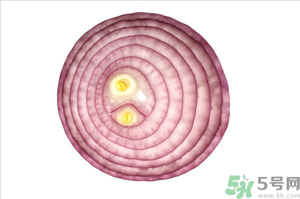 吃洋蔥上火嗎？吃洋蔥會(huì)上火嗎？