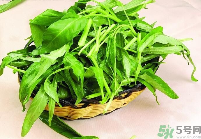 空心菜有什么功效？空心菜的功效是什么？