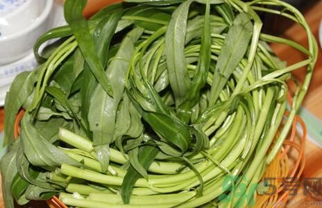 空心菜吃葉子還是吃桿？空心菜吃葉子好嗎？