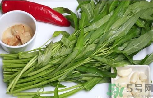 空心菜吃葉子還是吃桿？空心菜吃葉子好嗎？