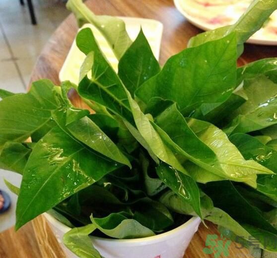 空心菜泡水了還能吃嗎？泡水的空心菜可以吃嗎？