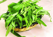 吃空心菜有什么好處？多吃空心菜對身體好嗎？