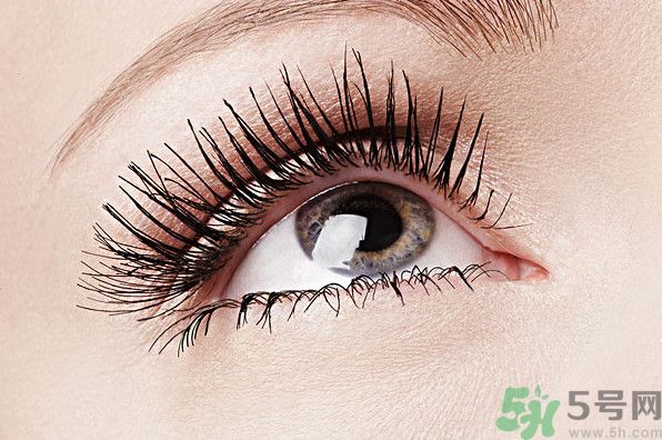 眉毛淡是種怎樣的體驗？眉毛淡是什么原因？