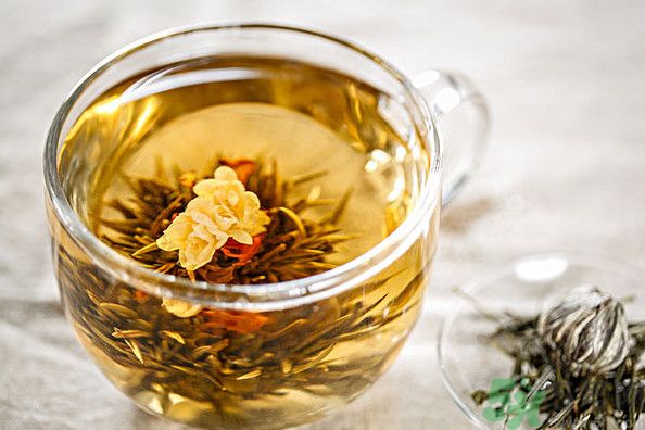 茉莉花綠茶加苦瓜能減肥嗎？茉莉花和苦瓜泡水喝嗎？
