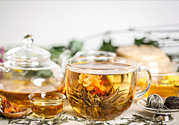茉莉花綠茶加苦瓜能減肥嗎？茉莉花和苦瓜泡水喝嗎？