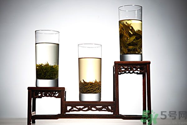茯苓和苦丁茶能一起泡嗎？茯苓可以和苦丁茶一起喝嗎？
