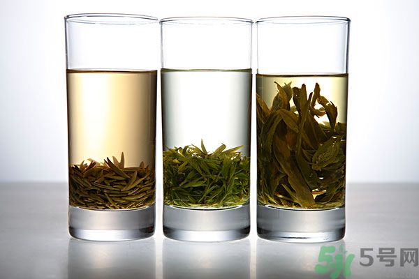 茯苓和苦丁茶能一起泡嗎？茯苓可以和苦丁茶一起喝嗎？