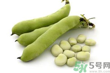 蠶豆是熱性還是涼性？蠶豆是熱性的嗎？