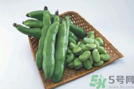 蠶豆是熱性還是涼性？蠶豆是熱性的嗎？