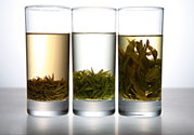 茯苓和苦丁茶能一起泡嗎？茯苓可以和苦丁茶一起喝嗎？