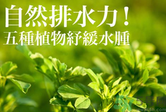 南瓜去水腫嗎？南瓜能消腫嗎？