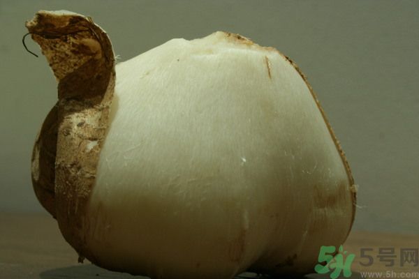 涼薯吃多了好嗎？地瓜吃多了會(huì)上火嗎？