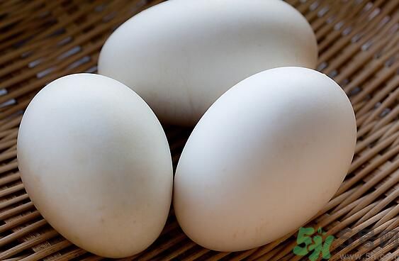 鵝蛋可以清火嗎？鵝蛋可以降火嗎？