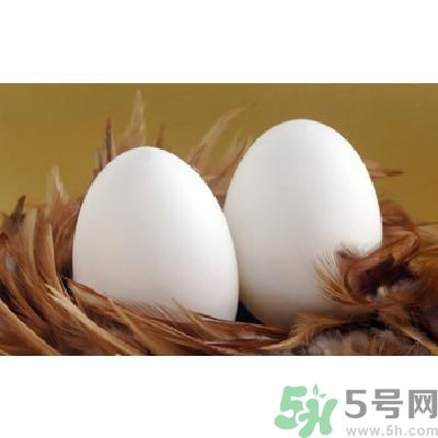 鵝蛋可以清火嗎？鵝蛋可以降火嗎？