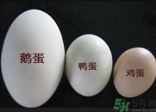 鵝蛋和鴨蛋哪個好？鵝蛋和鴨蛋哪個清火效果好？