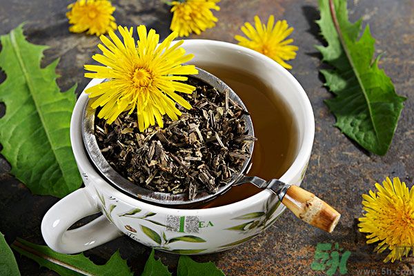 蒲公英泡茶有什么功效？蒲公英泡茶的功效是什么？