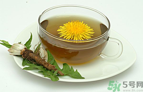 蒲公英根泡茶好還是蒲公英葉泡茶好？蒲公英根和葉哪個效果好？