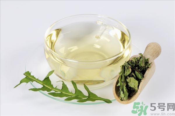 蒲公英根泡茶好還是蒲公英葉泡茶好？蒲公英根和葉哪個效果好？