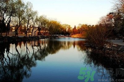 清華取消北大培文杯非原創(chuàng)考生自招資格是怎么回事？
