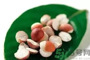 夏天吃芡實(shí)好嗎？夏天吃芡實(shí)有什么好處？