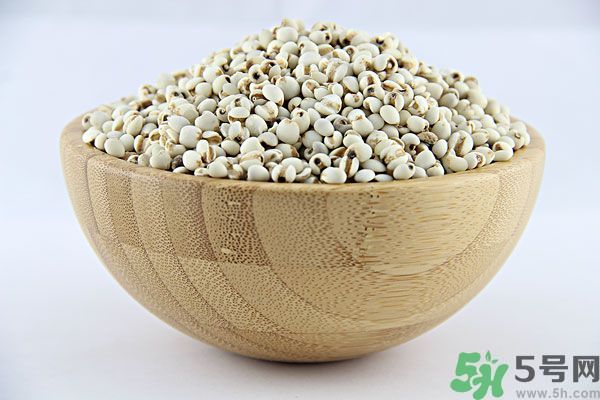 夏天吃薏米好嗎？夏天吃薏米有什么好處？