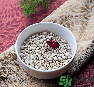 夏天吃薏米好嗎？夏天吃薏米有什么好處？