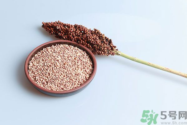 夏天吃高粱好嗎？夏天吃高粱有什么好處？