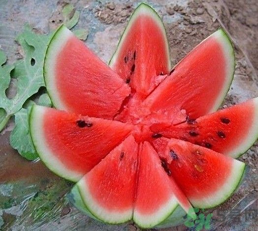 方形西瓜可以吃嗎？方形西瓜有什么好處？