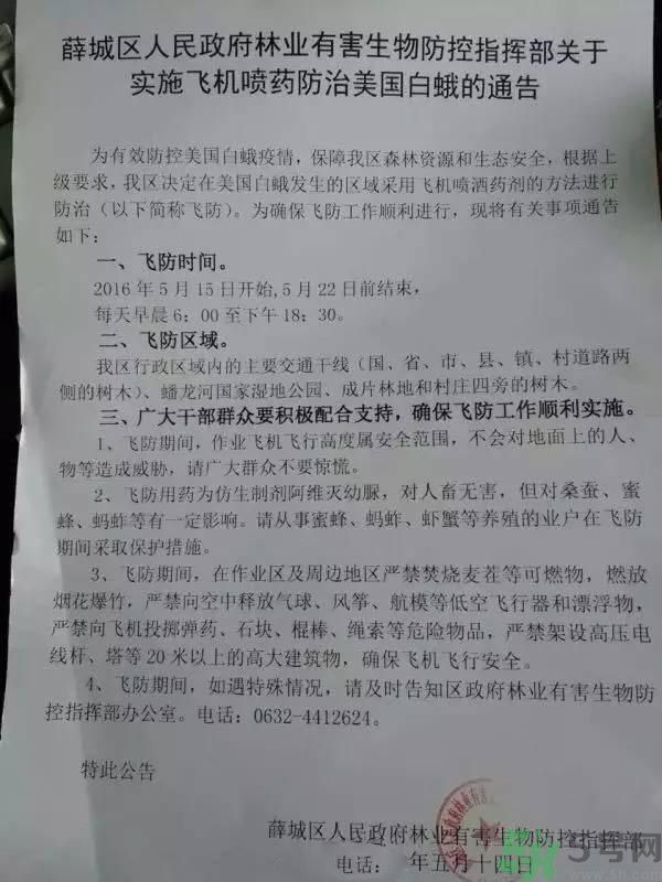 為什么15-25號不要曬被子？什么是美國白蛾？
