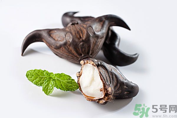 菱角是涼性的嗎？菱角是涼性還是熱性的？