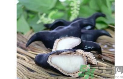 菱角怎么剝完整？菱角剝不開怎么辦？