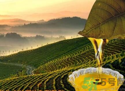 茶籽油可以天天吃嗎？可以每天用茶籽油炒菜嗎？